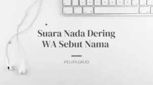 Suara Nada Dering WA Sebut Nama Pengirim, Ini Cara Bikinnya! - Harian ...